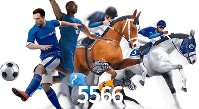 5566