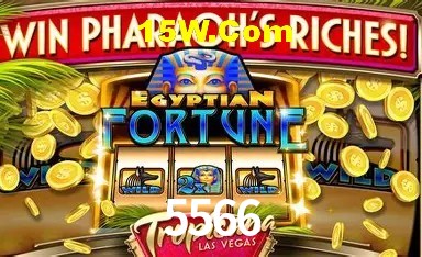 Casino Ao Vivo 5566